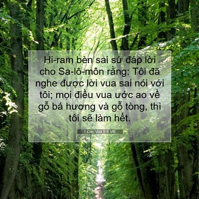 Picture 07 - 1 Các Vua 5:8 VIE - Hi-ram bèn sai sứ đáp lời cho Sa-lô-môn - Bible Verse Picture