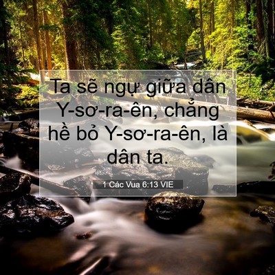Picture 07 - 1 Các Vua 6:13 VIE - Ta sẽ ngự giữa dân Y-sơ-ra-ên, chẳng - Bible Verse Picture