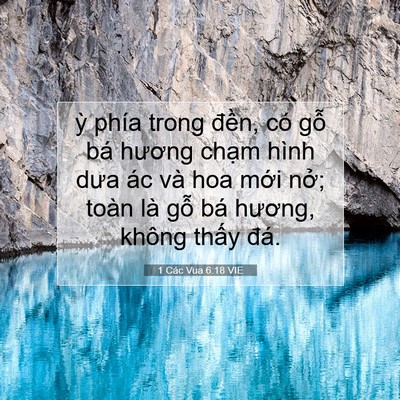 Picture 07 - 1 Các Vua 6:18 VIE - ỳ phía trong đền, có gỗ bá hương - Bible Verse Picture