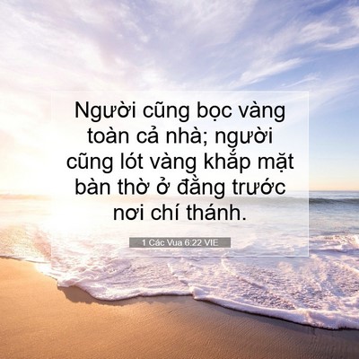 Picture 07 - 1 Các Vua 6:22 VIE - Người cũng bọc vàng toàn cả nhà; - Bible Verse Picture