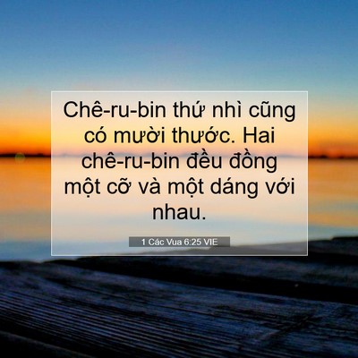 Picture 07 - 1 Các Vua 6:25 VIE - Chê-ru-bin thứ nhì cũng có mười - Bible Verse Picture