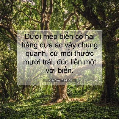 Picture 07 - 1 Các Vua 7:24 VIE - Dưới mép biển có hai hàng dưa ác vây - Bible Verse Picture
