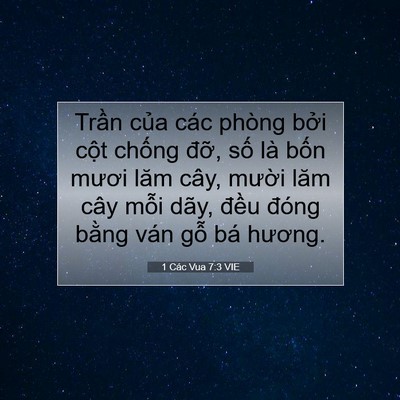 Picture 07 - 1 Các Vua 7:3 VIE - Trần của các phòng bởi cột chống - Bible Verse Picture