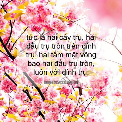 Picture 07 - 1 Các Vua 7:41 VIE - tức là hai cây trụ, hai đầu trụ tròn - Bible Verse Picture