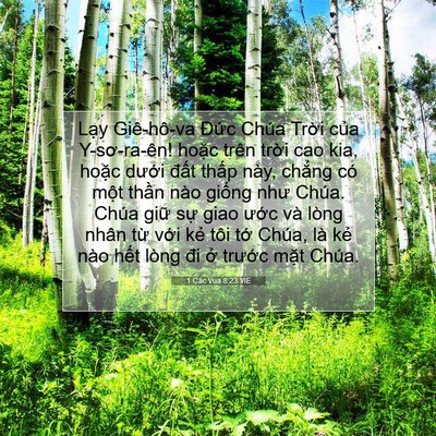 Picture 07 - 1 Các Vua 8:23 VIE - Lạy Giê-hô-va Đức Chúa Trời của - Bible Verse Picture