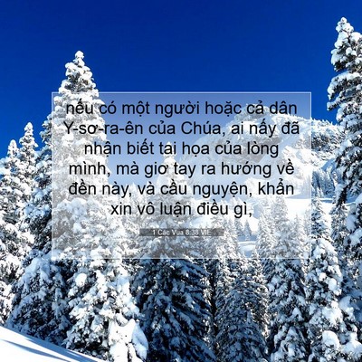 Picture 07 - 1 Các Vua 8:38 VIE - nếu có một người hoặc cả dân - Bible Verse Picture