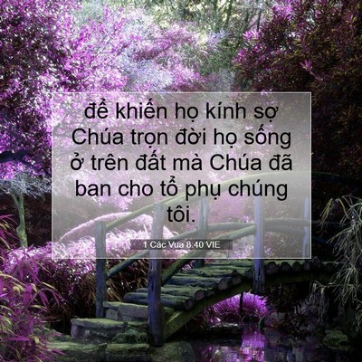 Picture 07 - 1 Các Vua 8:40 VIE - để khiến họ kính sợ Chúa trọn đời - Bible Verse Picture