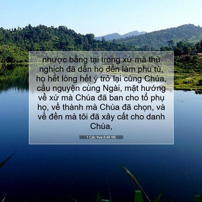 Picture 07 - 1 Các Vua 8:48 VIE - nhược bằng tại trong xứ mà thù - Bible Verse Picture
