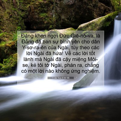 Picture 07 - 1 Các Vua 8:56 VIE - Đáng khen ngợi Đức Giê-hô-va, là - Bible Verse Picture