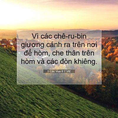 Picture 07 - 1 Các Vua 8:7 VIE - Vì các chê-ru-bin giương cánh ra trên nơi - Bible Verse Picture