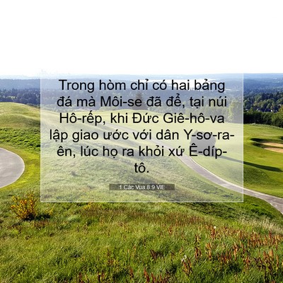 Picture 07 - 1 Các Vua 8:9 VIE - Trong hòm chỉ có hai bảng đá mà Môi-se - Bible Verse Picture