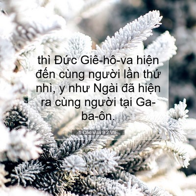 Picture 07 - 1 Các Vua 9:2 VIE - thì Đức Giê-hô-va hiện đến cùng - Bible Verse Picture