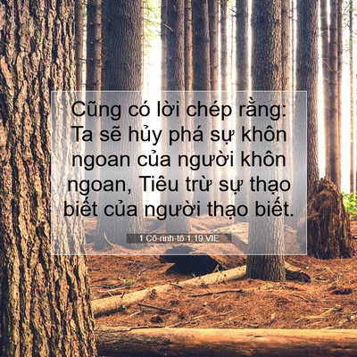 Picture 07 - 1 Cô-rinh-tô 1:19 VIE - Cũng có lời chép rằng: Ta sẽ hủy phá - Bible Verse Picture