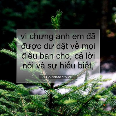 Picture 07 - 1 Cô-rinh-tô 1:5 VIE - vì chưng anh em đã được dư dật về - Bible Verse Picture