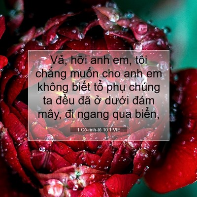 Picture 07 - 1 Cô-rinh-tô 10:1 VIE - Vả, hỡi anh em, tôi chẳng muốn cho anh - Bible Verse Picture