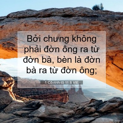 Picture 07 - 1 Cô-rinh-tô 11:8 VIE - Bởi chưng không phải đờn ông ra từ - Bible Verse Picture