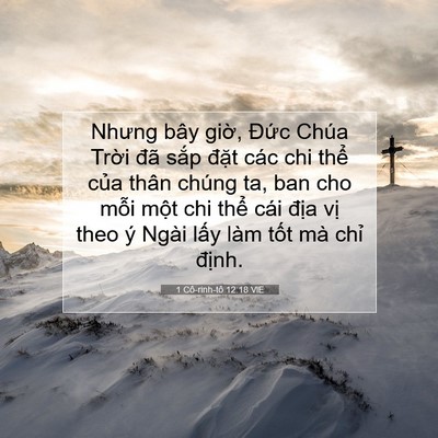 Picture 07 - 1 Cô-rinh-tô 12:18 VIE - Nhưng bây giờ, Đức Chúa Trời đã sắp - Bible Verse Picture