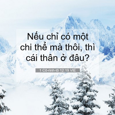 Picture 07 - 1 Cô-rinh-tô 12:19 VIE - Nếu chỉ có một chi thể mà thôi, thì - Bible Verse Picture
