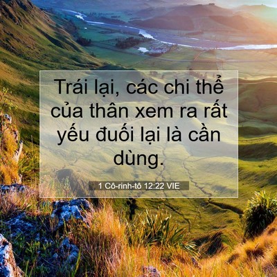 Picture 07 - 1 Cô-rinh-tô 12:22 VIE - Trái lại, các chi thể của thân xem ra - Bible Verse Picture
