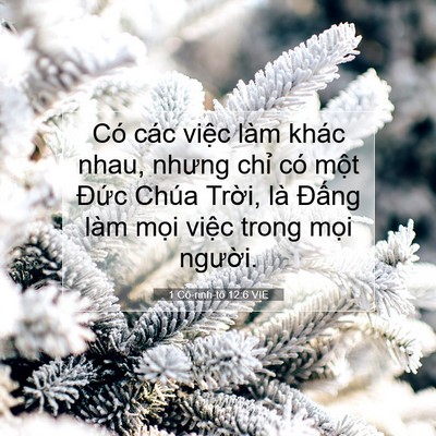 Picture 07 - 1 Cô-rinh-tô 12:6 VIE - Có các việc làm khác nhau, nhưng chỉ có - Bible Verse Picture