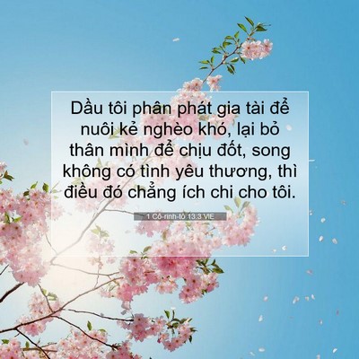 Picture 07 - 1 Cô-rinh-tô 13:3 VIE - Dầu tôi phân phát gia tài để nuôi kẻ - Bible Verse Picture