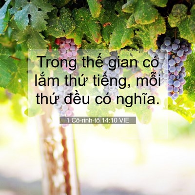 Picture 07 - 1 Cô-rinh-tô 14:10 VIE - Trong thế gian có lắm thứ tiếng, mỗi - Bible Verse Picture