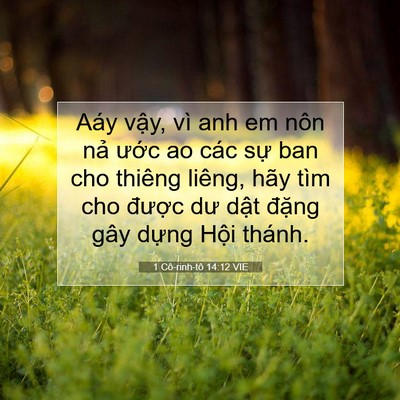 Picture 07 - 1 Cô-rinh-tô 14:12 VIE - Aáy vậy, vì anh em nôn nả ước ao các - Bible Verse Picture