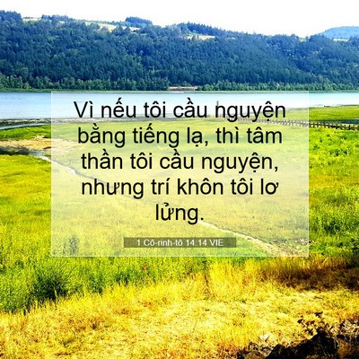 Picture 07 - 1 Cô-rinh-tô 14:14 VIE - Vì nếu tôi cầu nguyện bằng tiếng - Bible Verse Picture