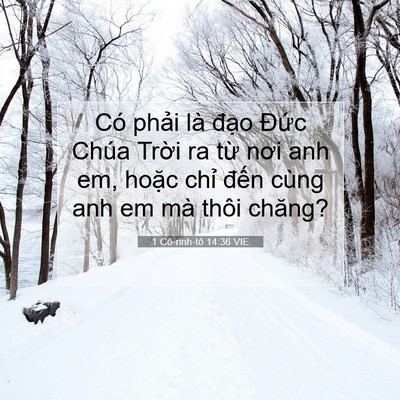 Picture 07 - 1 Cô-rinh-tô 14:36 VIE - Có phải là đạo Đức Chúa Trời ra từ - Bible Verse Picture