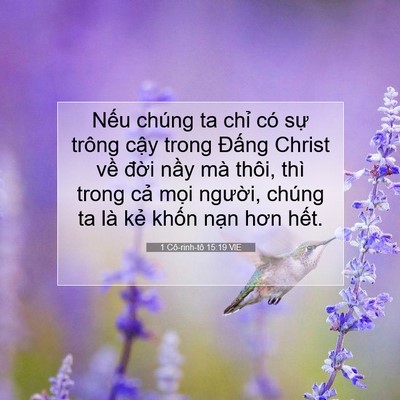 Picture 07 - 1 Cô-rinh-tô 15:19 VIE - Nếu chúng ta chỉ có sự trông cậy trong - Bible Verse Picture