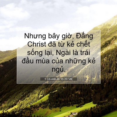 Picture 07 - 1 Cô-rinh-tô 15:20 VIE - Nhưng bây giờ, Đấng Christ đã từ kẻ - Bible Verse Picture