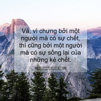 Picture 07 - 1 Cô-rinh-tô 15:21 VIE - Vả, vì chưng bởi một người mà có - Bible Verse Picture