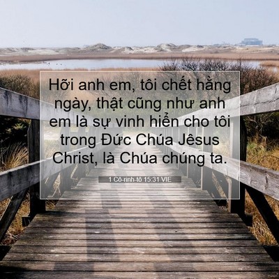 Picture 07 - 1 Cô-rinh-tô 15:31 VIE - Hỡi anh em, tôi chết hằng ngày, thật - Bible Verse Picture