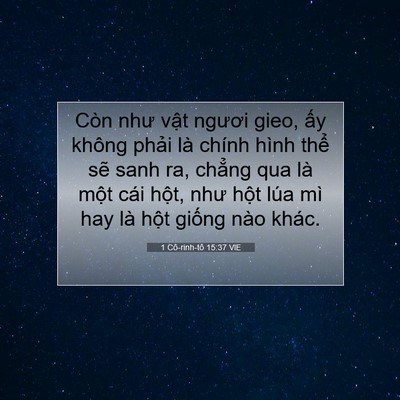 Picture 07 - 1 Cô-rinh-tô 15:37 VIE - Còn như vật ngươi gieo, ấy không phải - Bible Verse Picture