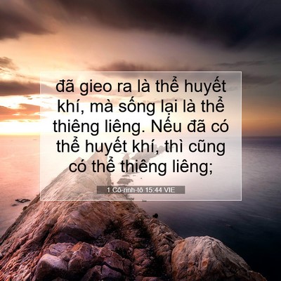 Picture 07 - 1 Cô-rinh-tô 15:44 VIE - đã gieo ra là thể huyết khí, mà sống - Bible Verse Picture