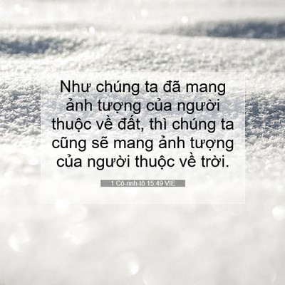 Picture 07 - 1 Cô-rinh-tô 15:49 VIE - Như chúng ta đã mang ảnh tượng của - Bible Verse Picture