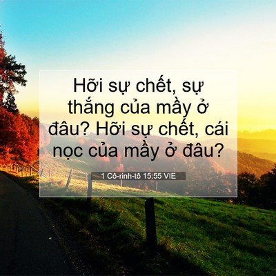Picture 07 - 1 Cô-rinh-tô 15:55 VIE - Hỡi sự chết, sự thắng của mầy ở - Bible Verse Picture