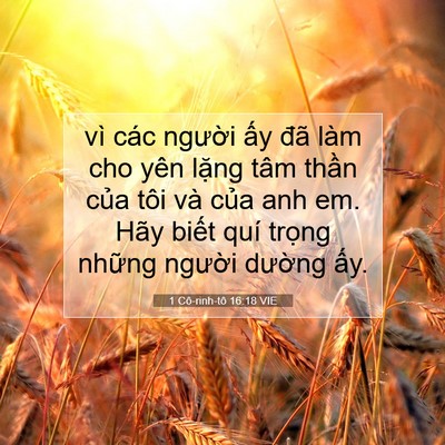 Picture 07 - 1 Cô-rinh-tô 16:18 VIE - vì các người ấy đã làm cho yên lặng - Bible Verse Picture