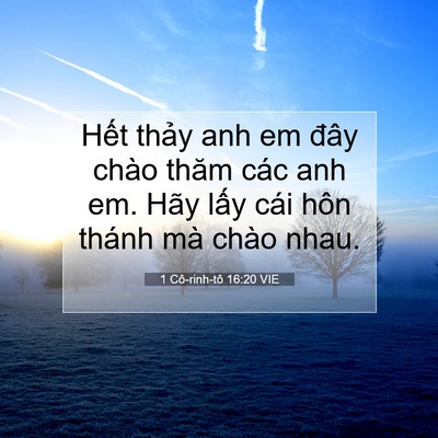 Picture 07 - 1 Cô-rinh-tô 16:20 VIE - Hết thảy anh em đây chào thăm các anh - Bible Verse Picture