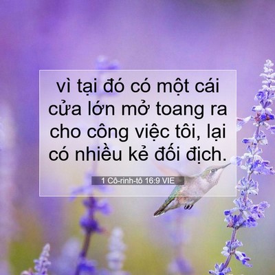Picture 07 - 1 Cô-rinh-tô 16:9 VIE - vì tại đó có một cái cửa lớn mở - Bible Verse Picture