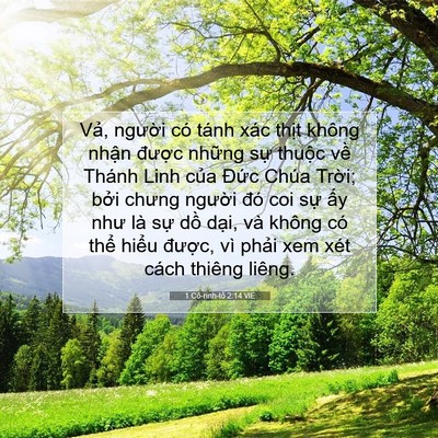 Picture 07 - 1 Cô-rinh-tô 2:14 VIE - Vả, người có tánh xác thịt không - Bible Verse Picture