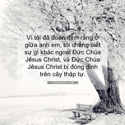 Picture 07 - 1 Cô-rinh-tô 2:2 VIE - Vì tôi đã đoán định rằng ở giữa - Bible Verse Picture