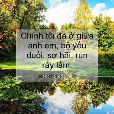 Picture 07 - 1 Cô-rinh-tô 2:3 VIE - Chính tôi đã ở giữa anh em, bộ yếu - Bible Verse Picture