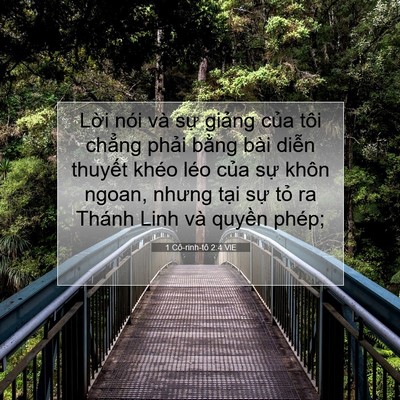 Picture 07 - 1 Cô-rinh-tô 2:4 VIE - Lời nói và sự giảng của tôi chẳng - Bible Verse Picture