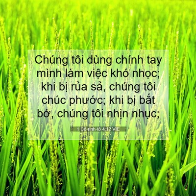 Picture 07 - 1 Cô-rinh-tô 4:12 VIE - Chúng tôi dùng chính tay mình làm việc - Bible Verse Picture