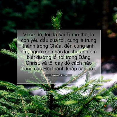 Picture 07 - 1 Cô-rinh-tô 4:17 VIE - Vì cớ đó, tôi đã sai Ti-mô-thê, là con - Bible Verse Picture