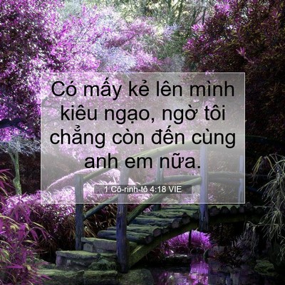 Picture 07 - 1 Cô-rinh-tô 4:18 VIE - Có mấy kẻ lên mình kiêu ngạo, ngờ - Bible Verse Picture