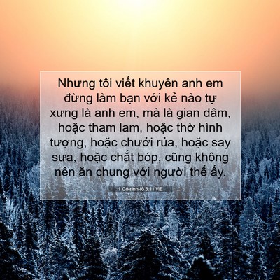 Picture 07 - 1 Cô-rinh-tô 5:11 VIE - Nhưng tôi viết khuyên anh em đừng làm - Bible Verse Picture