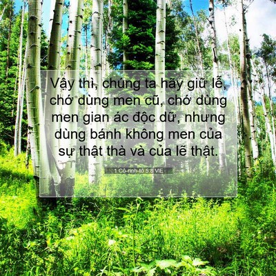 Picture 07 - 1 Cô-rinh-tô 5:8 VIE - Vậy thì, chúng ta hãy giữ lễ, chớ - Bible Verse Picture