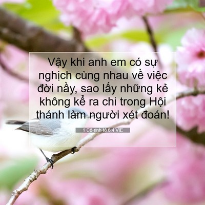 Picture 07 - 1 Cô-rinh-tô 6:4 VIE - Vậy khi anh em có sự nghịch cùng nhau - Bible Verse Picture